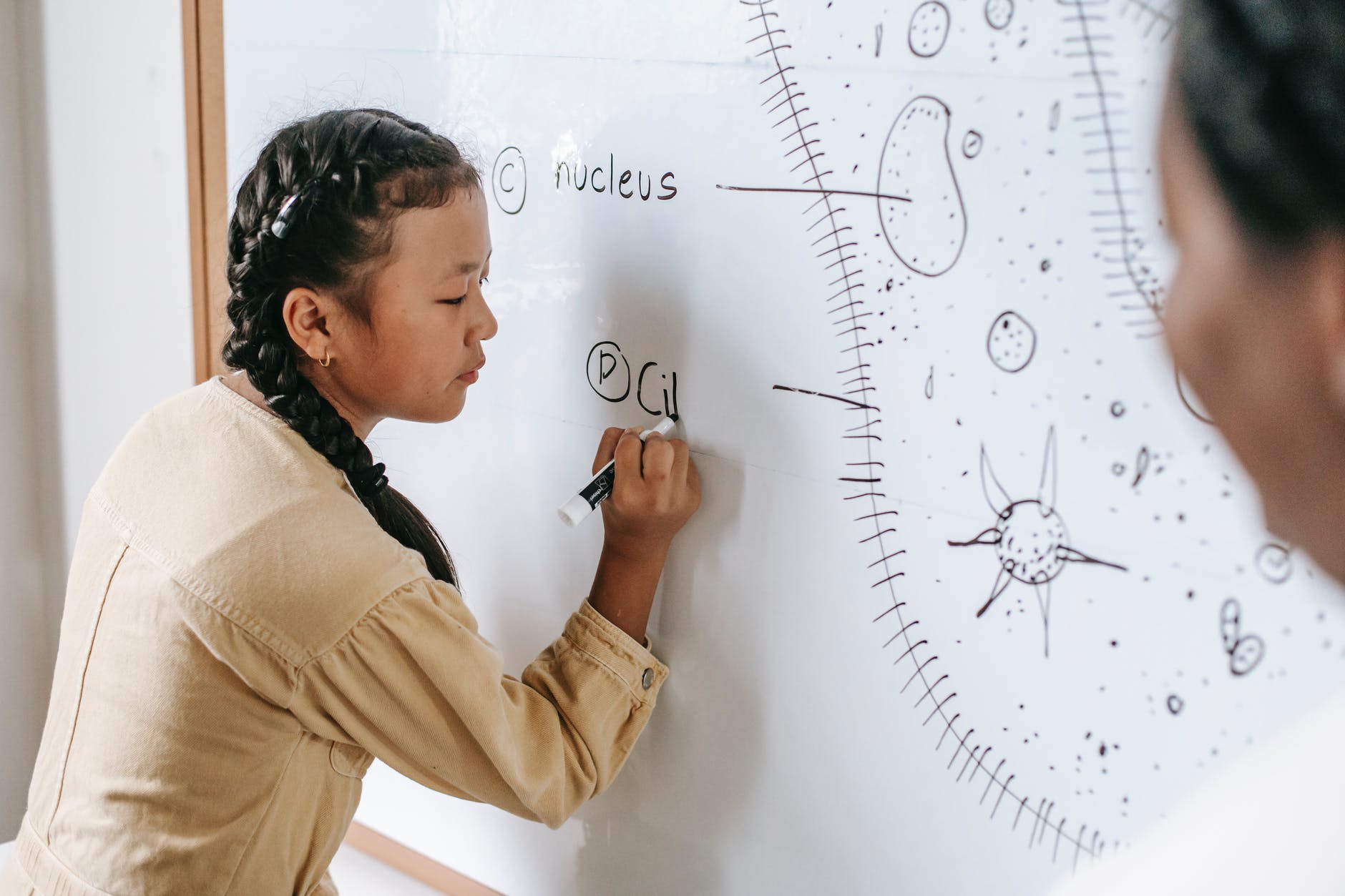 asian teen girl writing on whiteboard in classroom