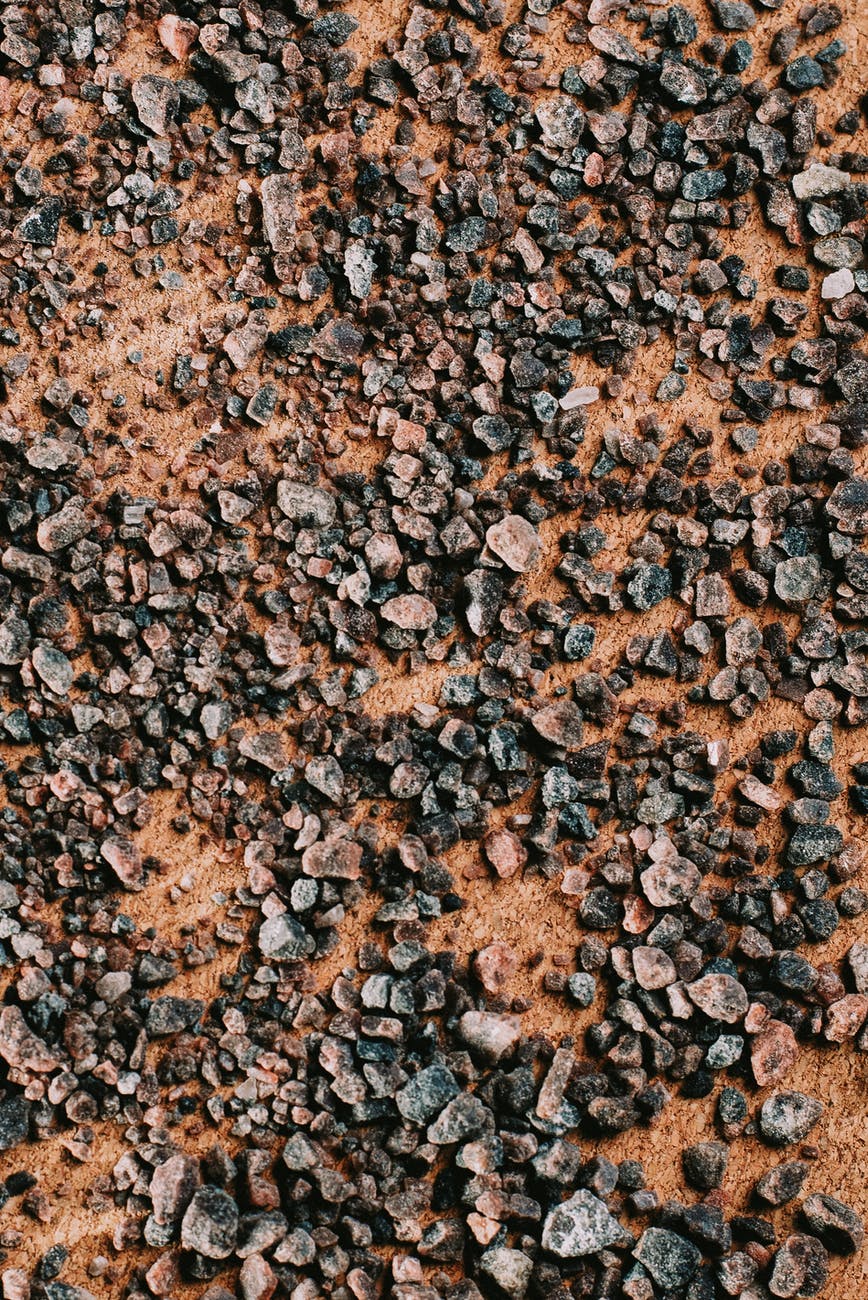 pebbles on sandy seashore on sunny day