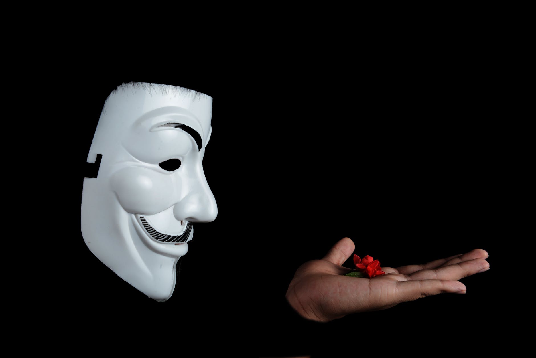 photo of guy fawkes mask with red flower on top on hand