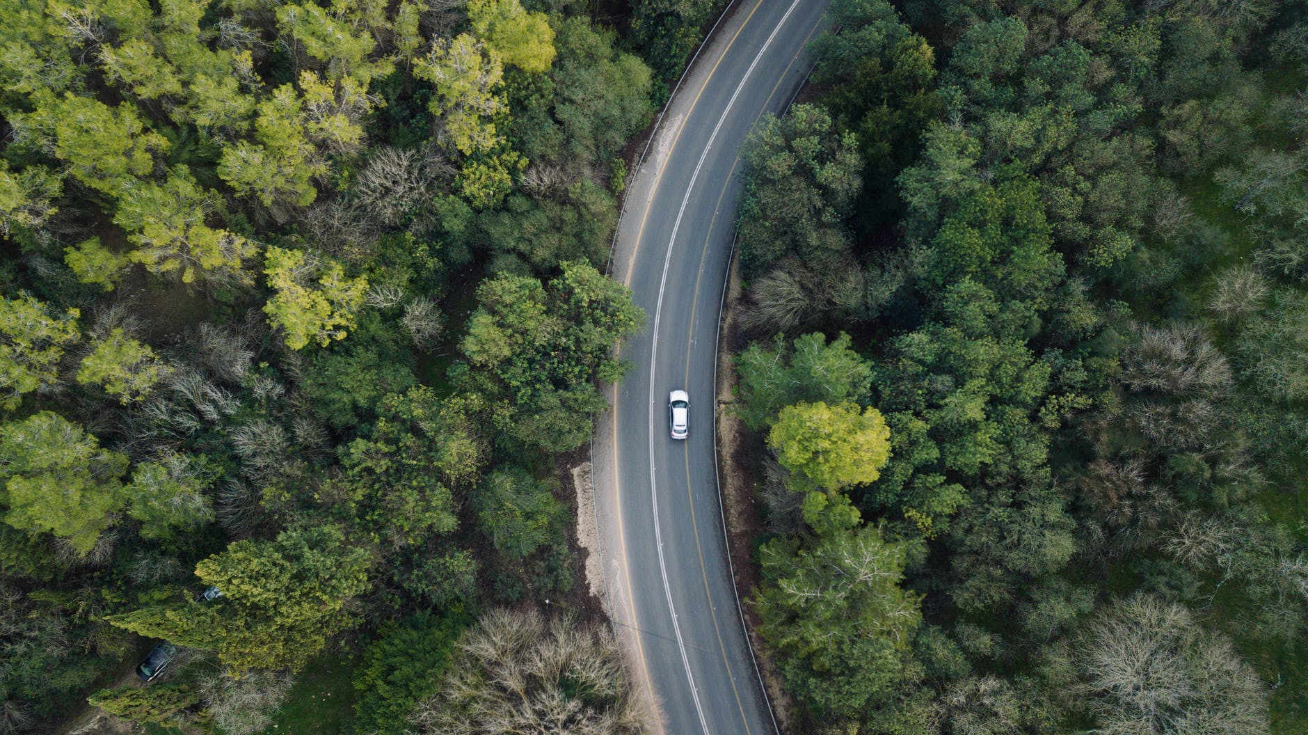 wood cars road landscape