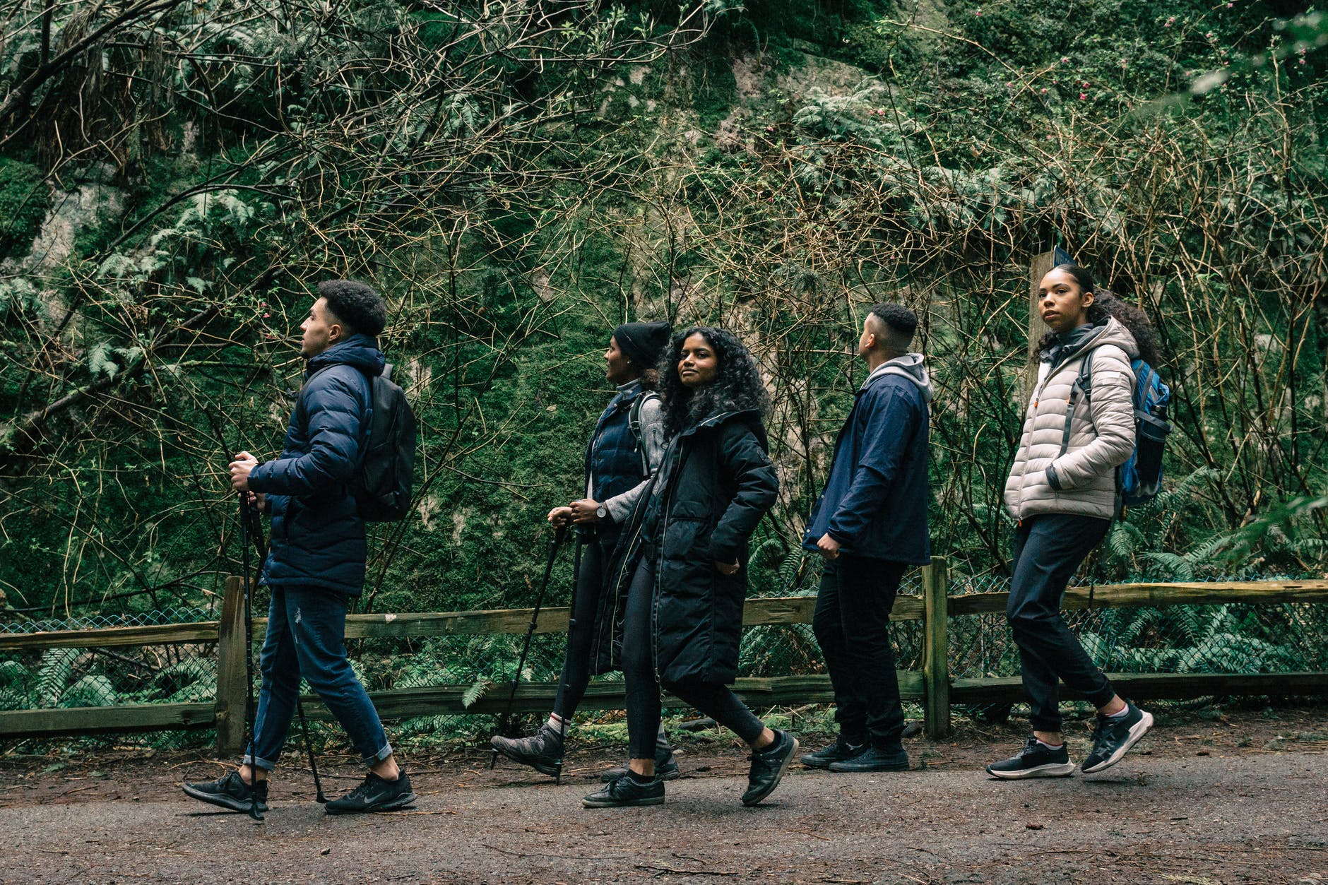 people hiking in a forest