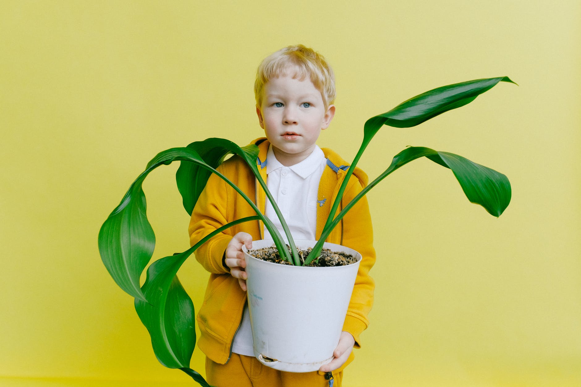 young boy in jacket holding white flower pot