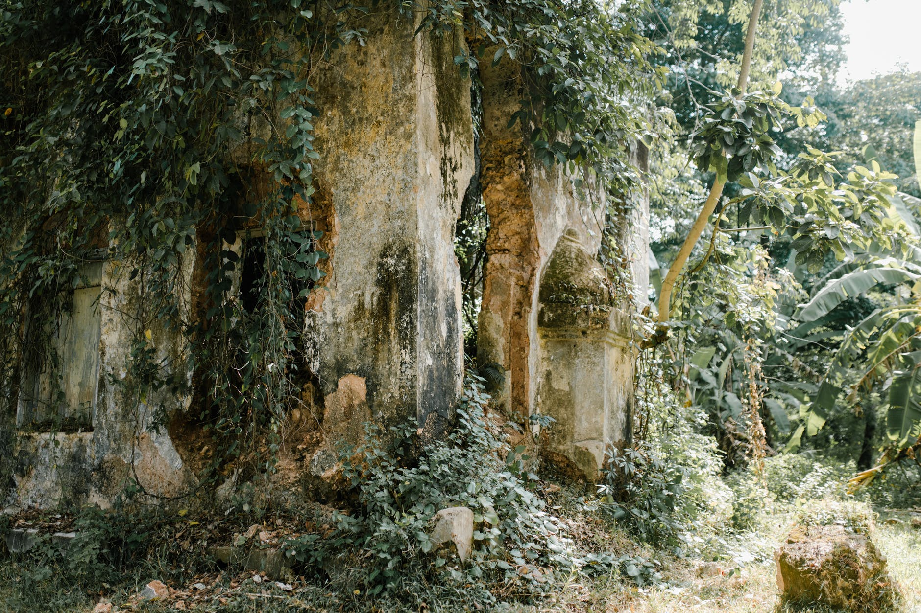 old temple in rock in forest