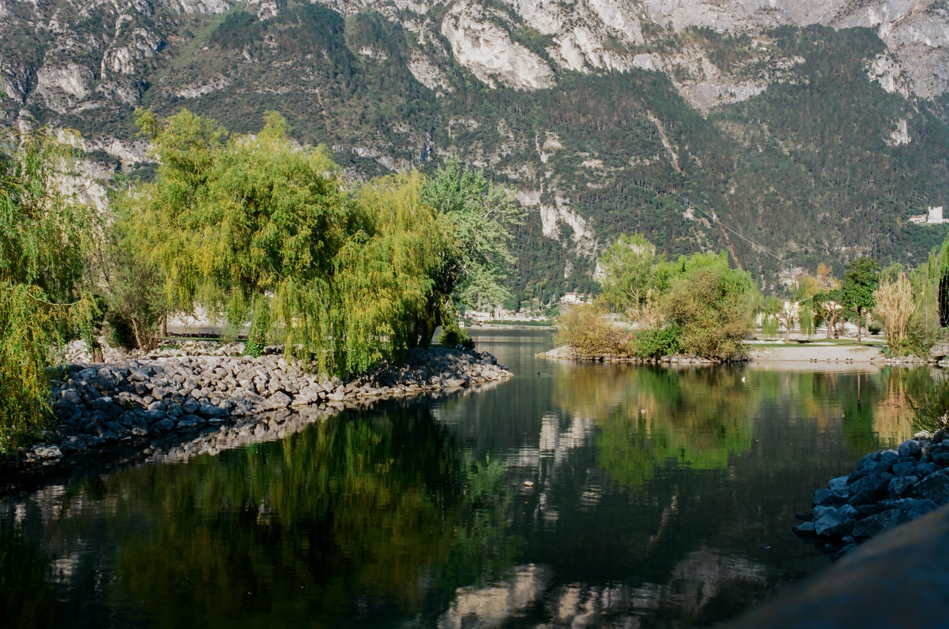 rocky coast with trees near river