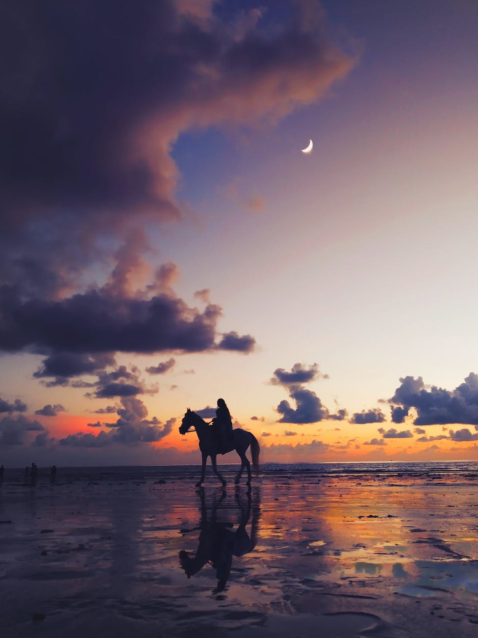 silhouette photo of person riding on horse under twilight sky